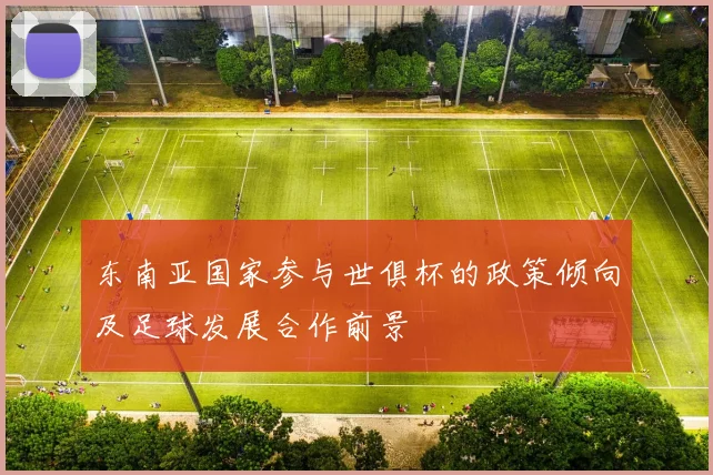 东南亚国家参与世俱杯的政策倾向及足球发展合作前景