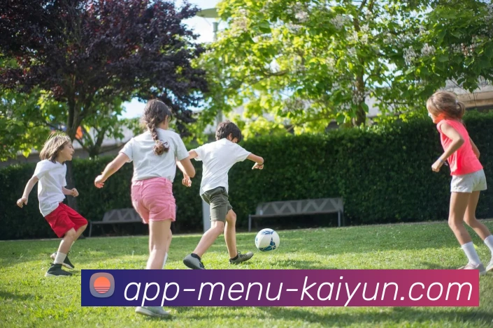 开云APP服务体系